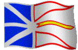 Newfoundland Flag